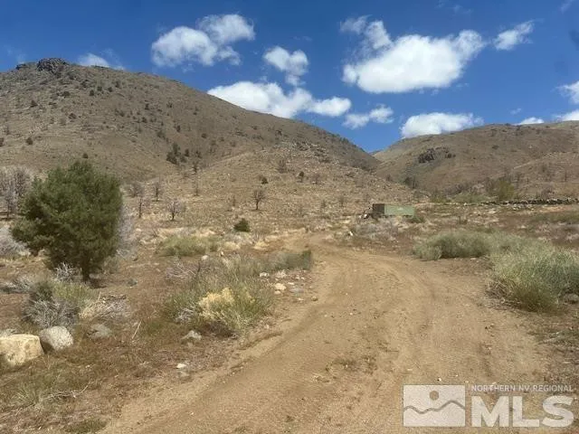 a view of a large body of water with lots of trees in the background