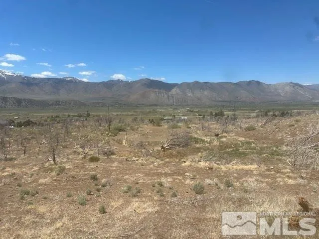 a view of a big yard with mountains in the background