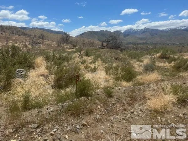 a view of a dry yard with trees