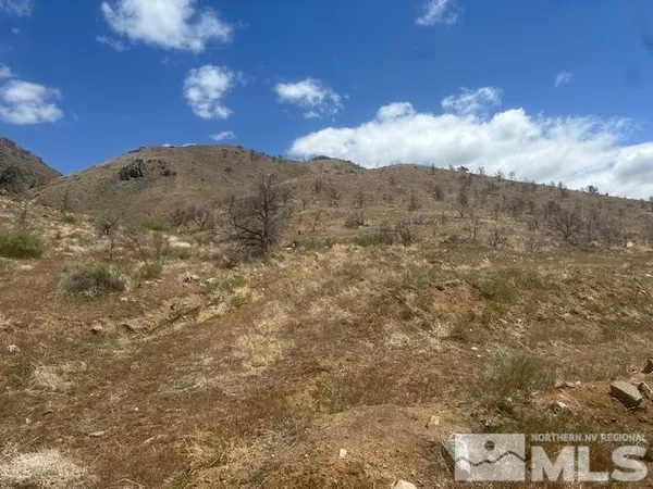 a view of a backyard of the house