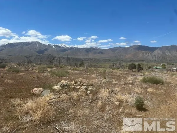 a view of a yard with mountain view