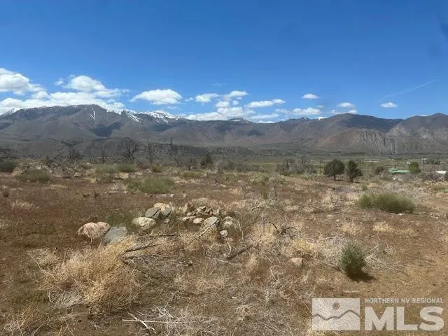 a view of a yard with mountain view