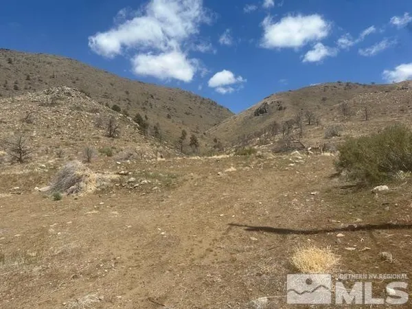 a view of a dry yard with trees in the background
