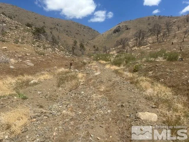 a view of a dry yard with mountains in the background