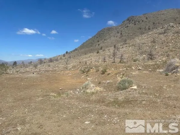 a view of a dry yard with mountains in the background