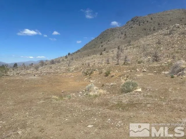 a view of a dry yard with mountains in the background