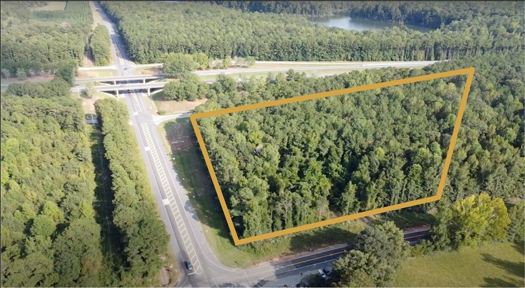 72 Ga Highway Hamilton, GA 31811 - Photo 2 of 4 a view of a yard with plants