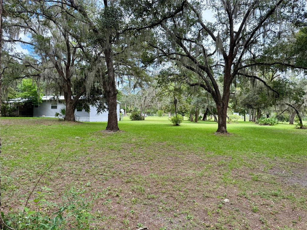 340 Debra Street Inglis, FL 34449 - Photo 26 of 29 a view of grassy field with benches and trees all around