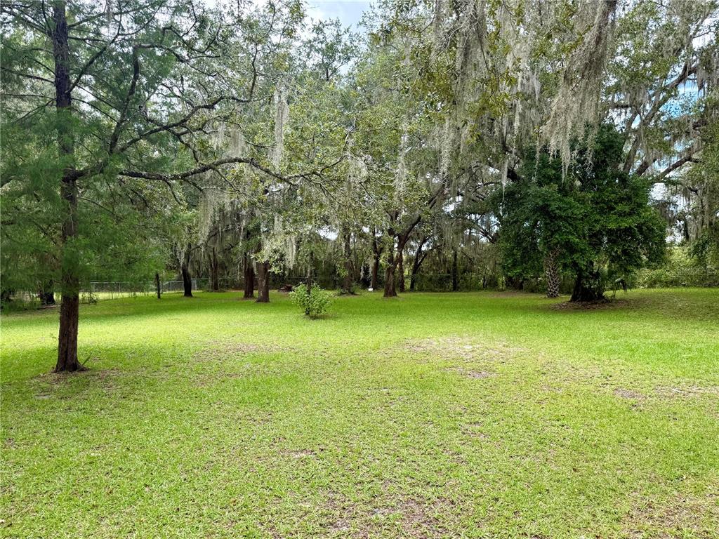 340 Debra Street Inglis, FL 34449 - Photo 27 of 29 a view of a field with trees