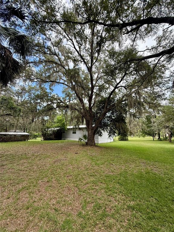 340 Debra Street Inglis, FL 34449 - Photo 7 of 29 a view of a field with trees in front of it