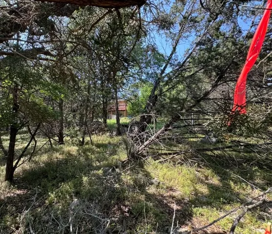 a view of outdoor space and a yard