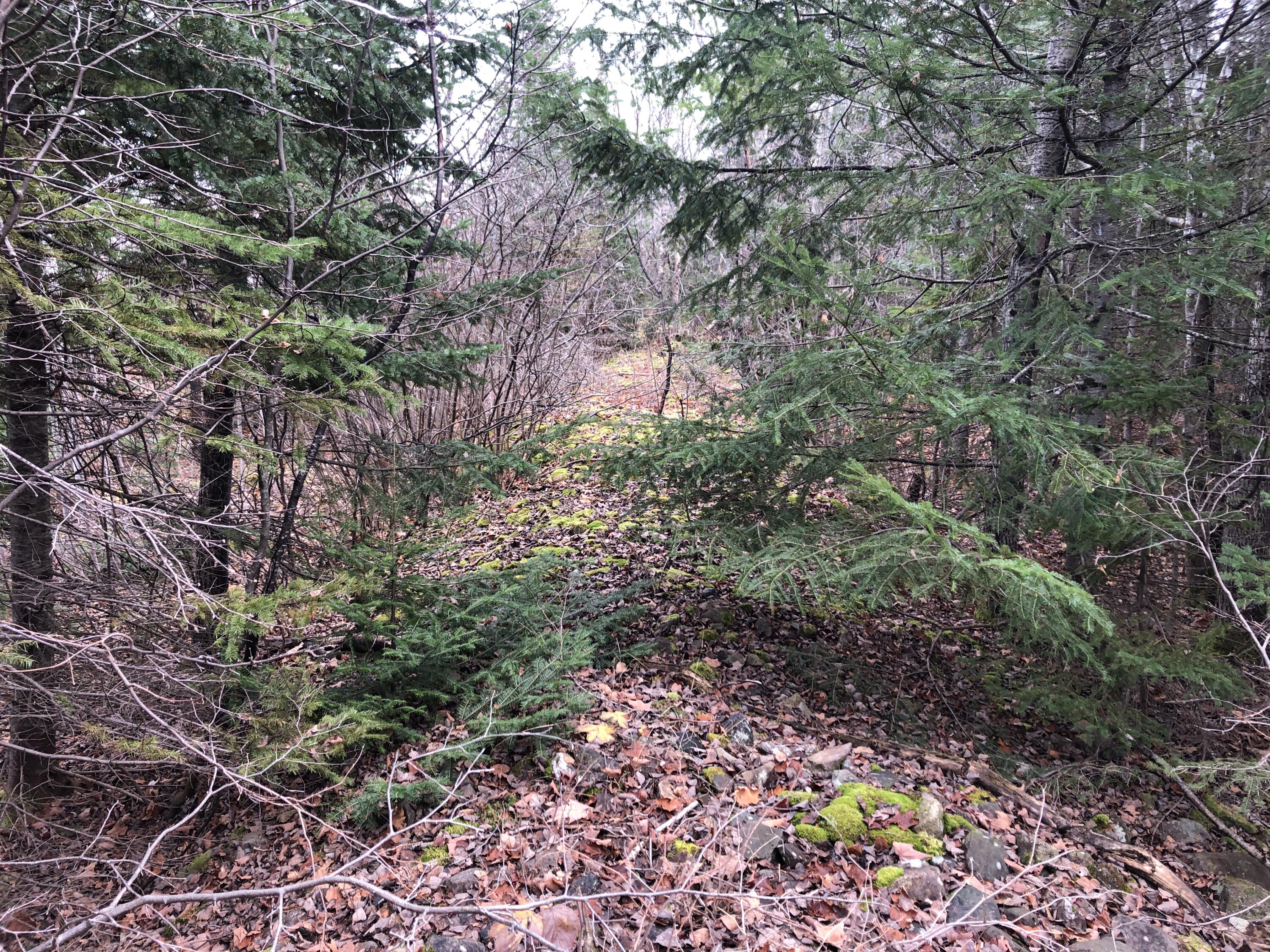 23 Rista Road New Sweden, ME 04762 - Photo 14 of 27 23 Rista Rd New Sweden Nov 2021 (32)