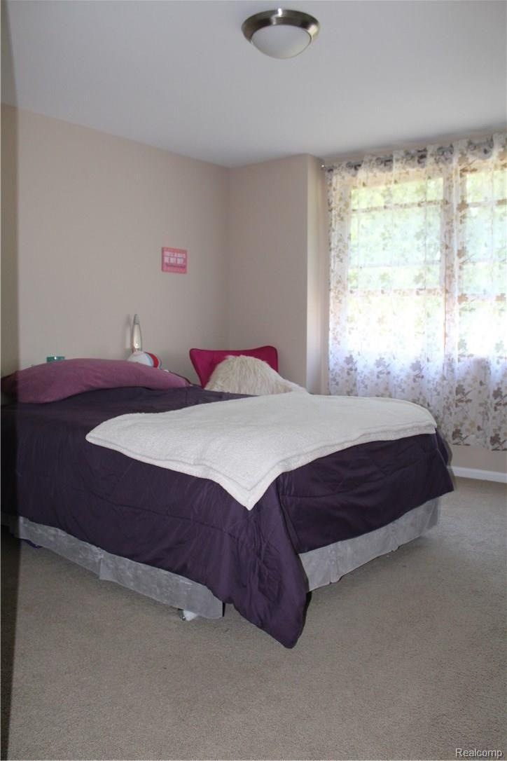 40127 Robbe Road Belleville, MI 48111 - Photo 26 of 44 Robbe House (48).JPG