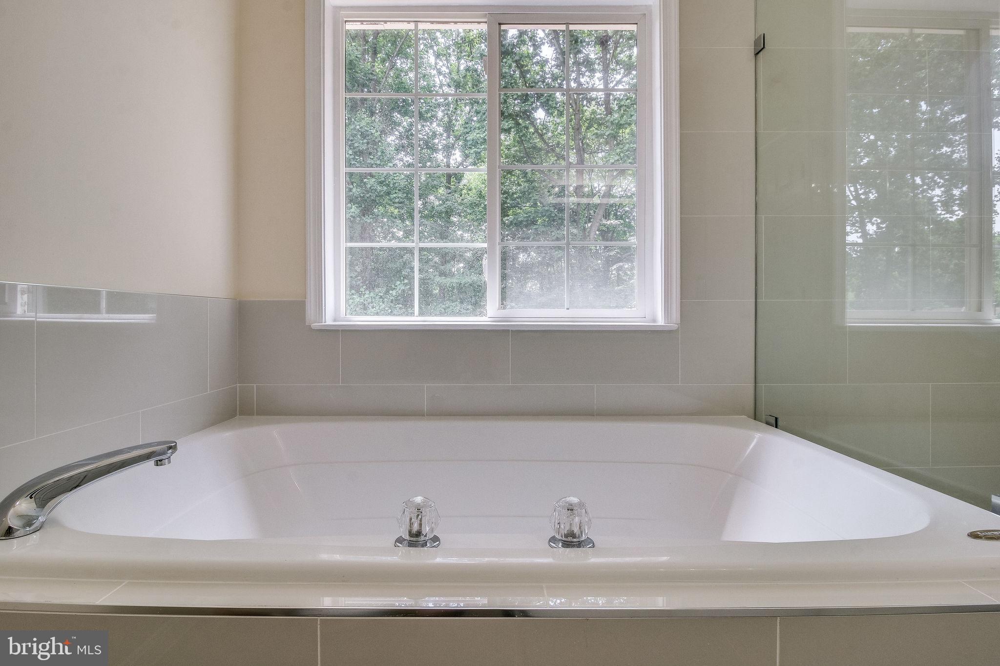 4604 Buckhorn Ridge Fairfax, VA 22030 - Photo 43 of 56