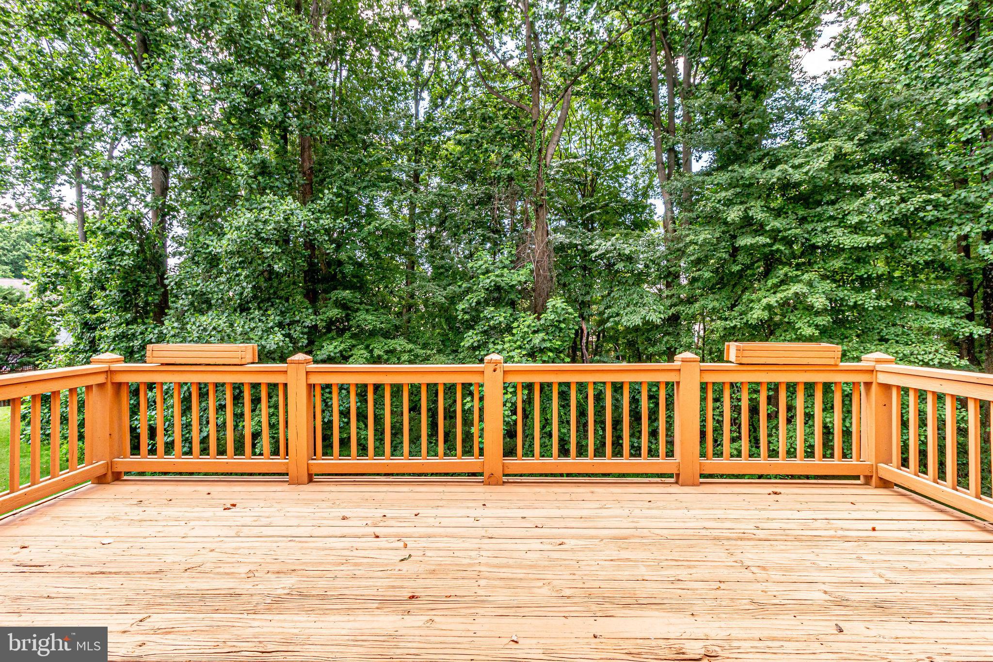 4604 Buckhorn Ridge Fairfax, VA 22030 - Photo 46 of 56
