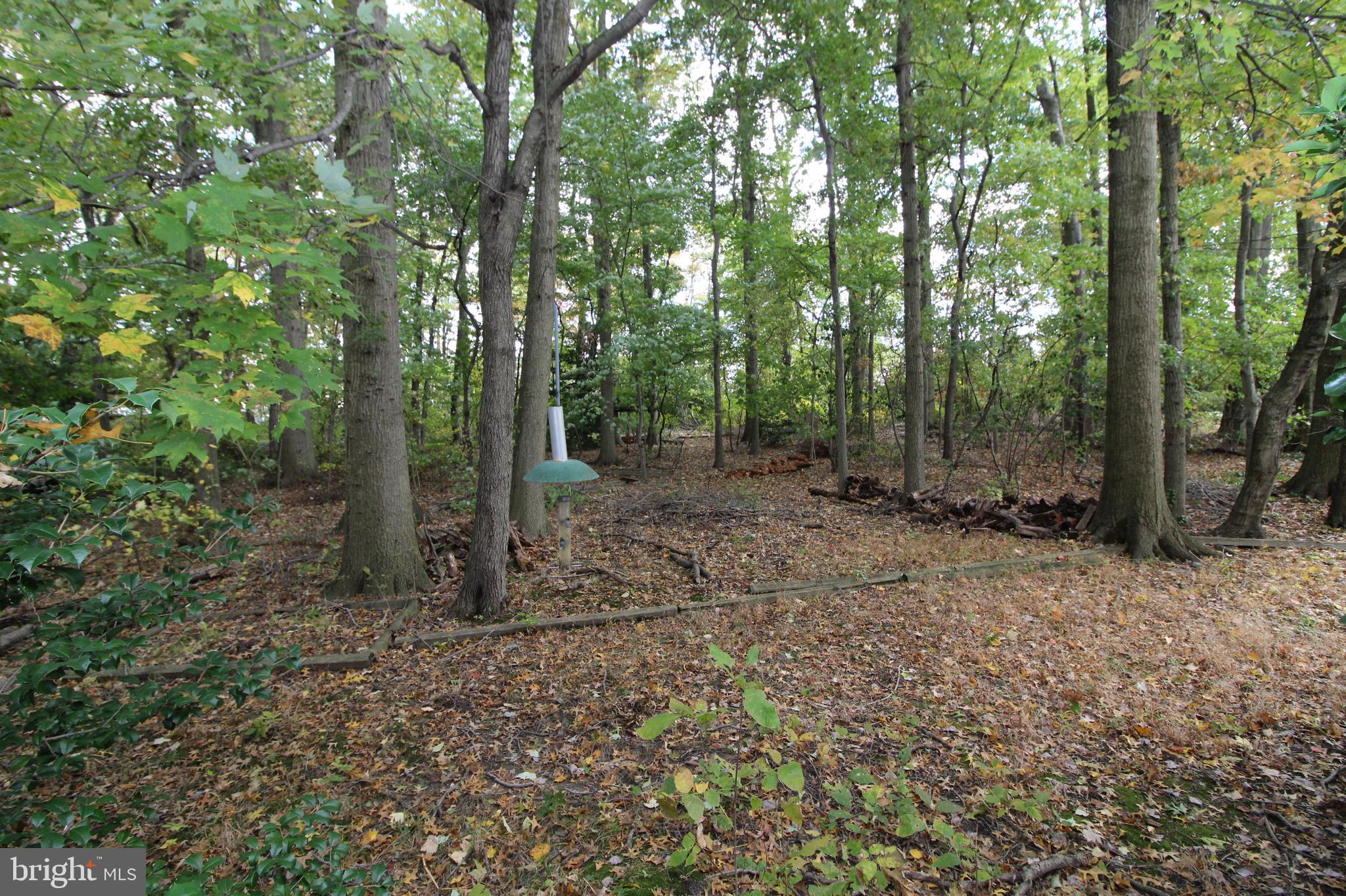 624 Halstead Road Wilmington, DE 19803 - Photo 19 of 20 Privacy plus a short walk to restaurants!