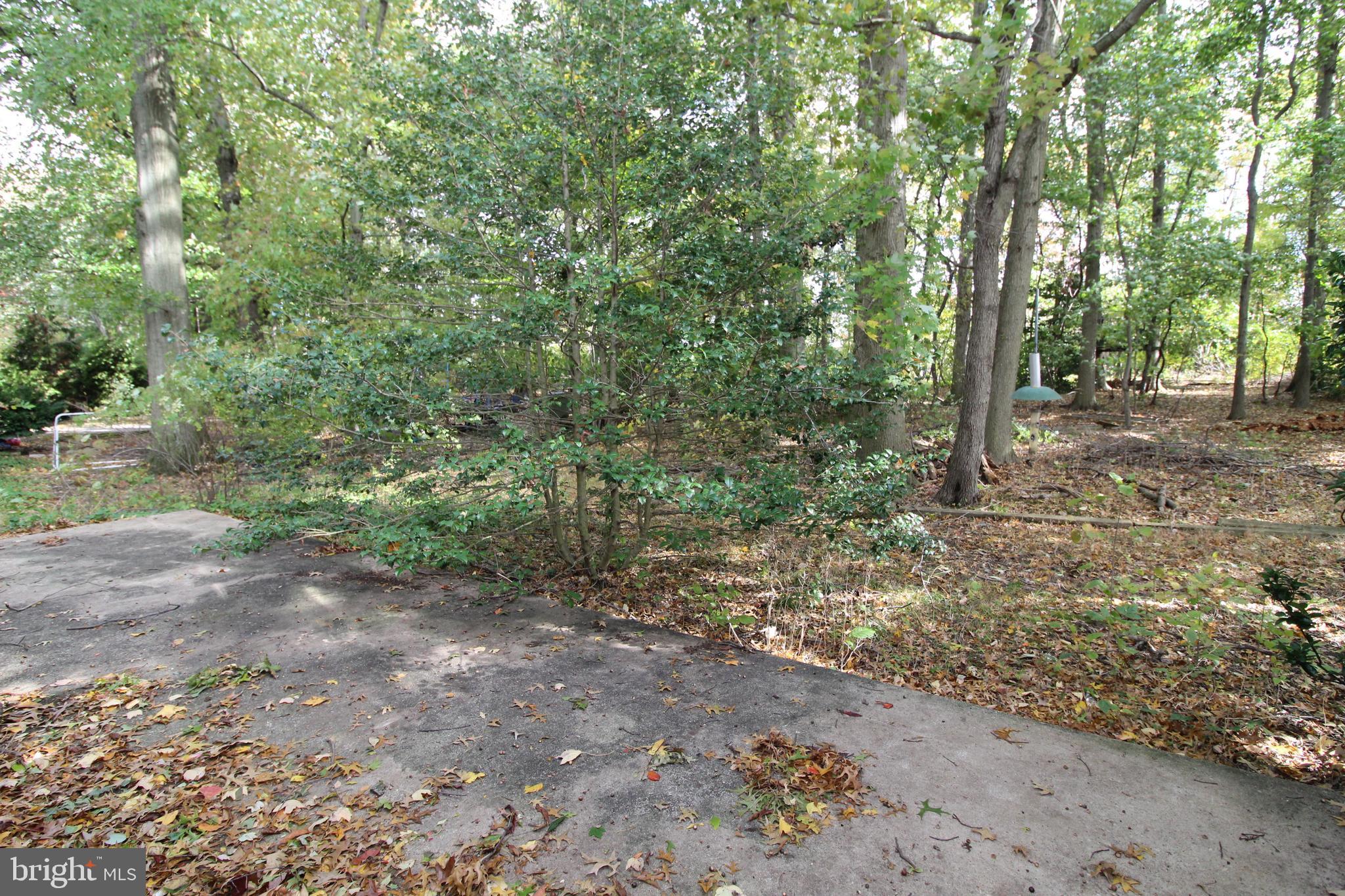 624 Halstead Road Wilmington, DE 19803 - Photo 20 of 20 Patio and Wooded .40 acre lot!