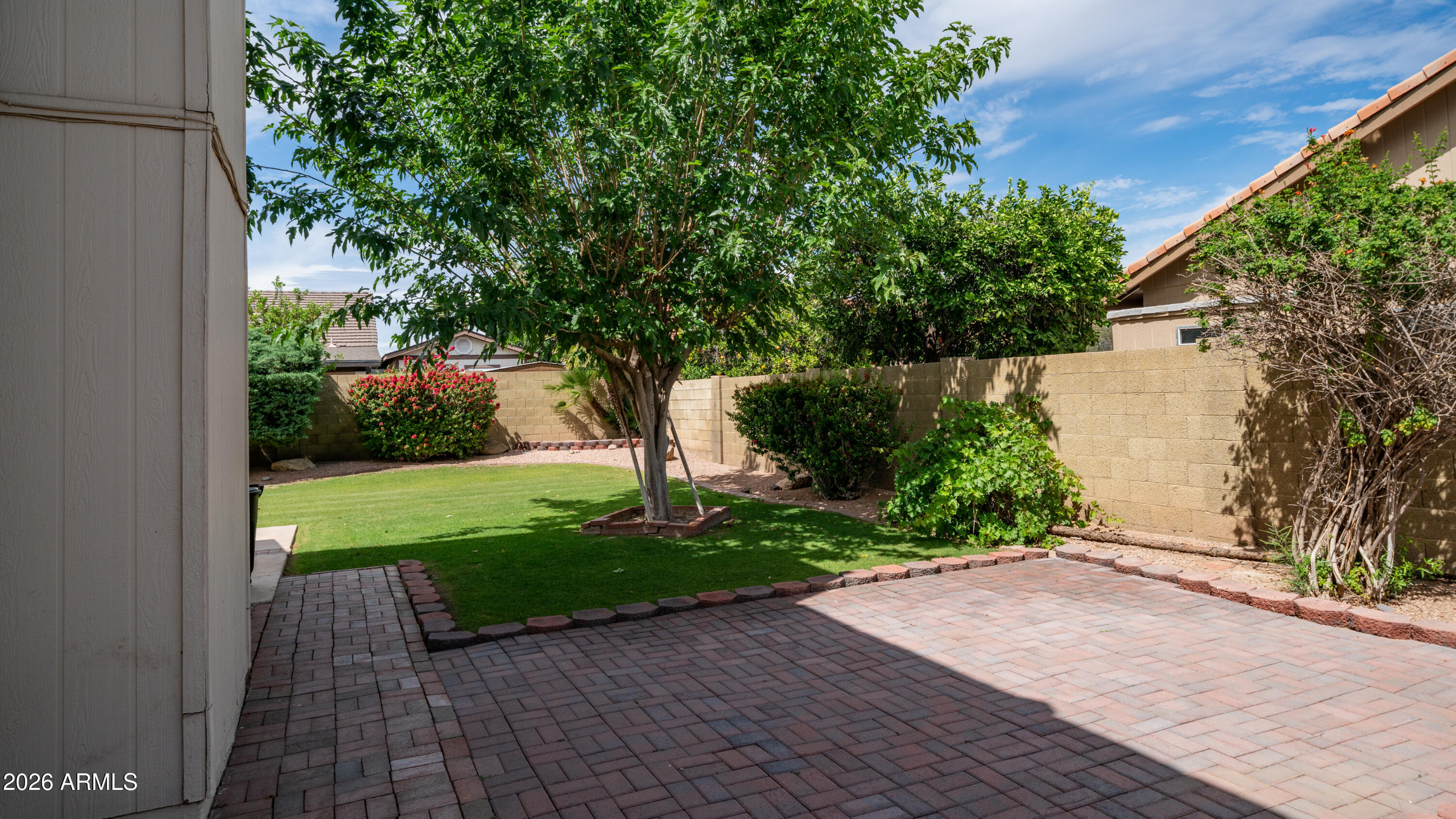 6620 West Redfield Road Glendale, AZ 85306 - Photo 19 of 33 a view of a yard with plants and trees