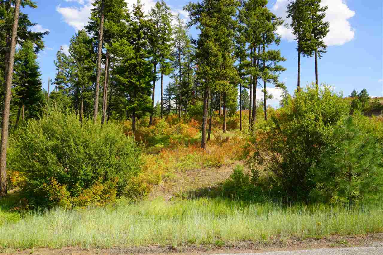 16300 North Ridgeview Lane Mead, WA 99021 - Photo 1 of 18