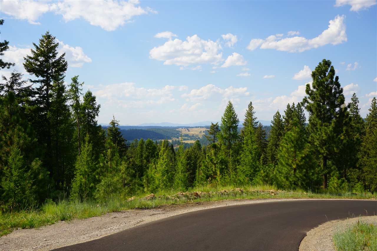 16300 North Ridgeview Lane Mead, WA 99021 - Photo 14 of 18