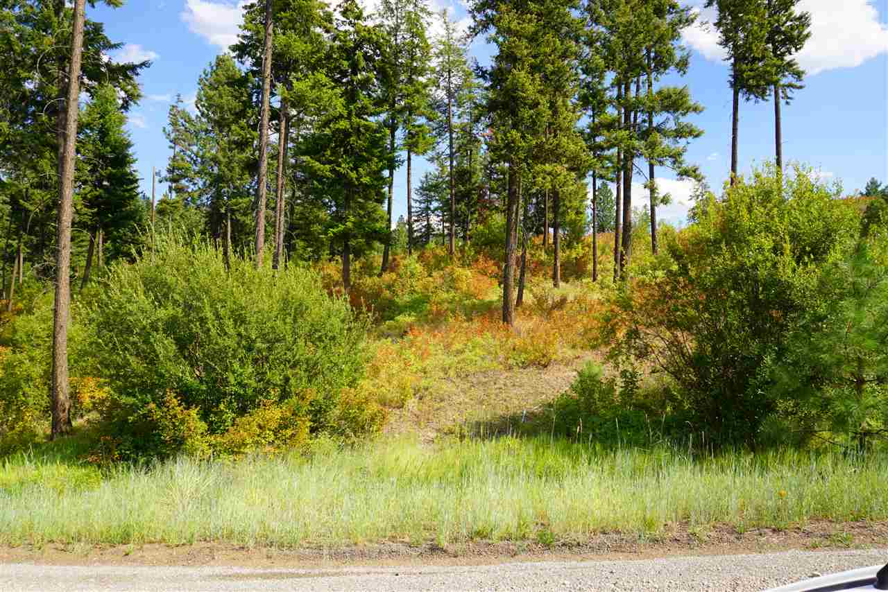 16300 North Ridgeview Lane Mead, WA 99021 - Photo 3 of 18