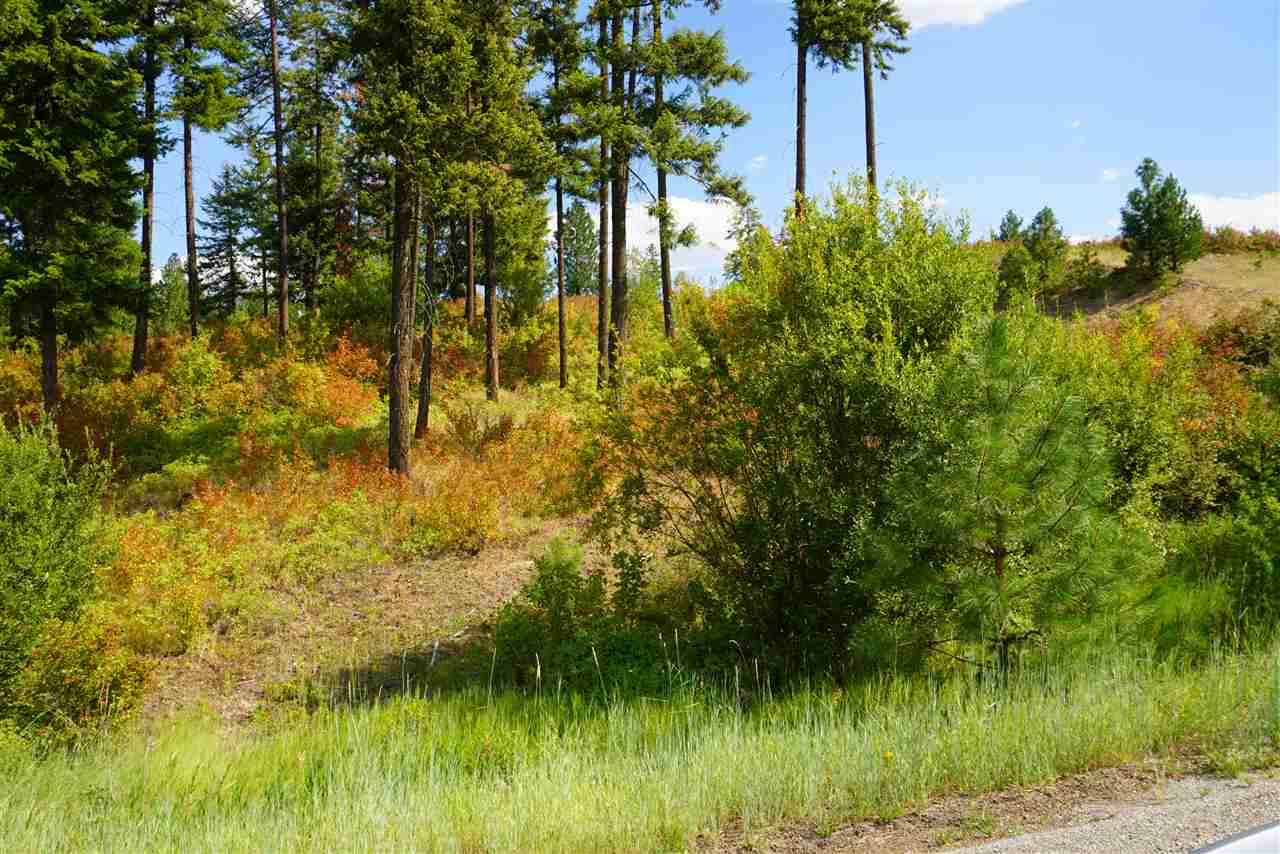 16300 North Ridgeview Lane Mead, WA 99021 - Photo 4 of 18