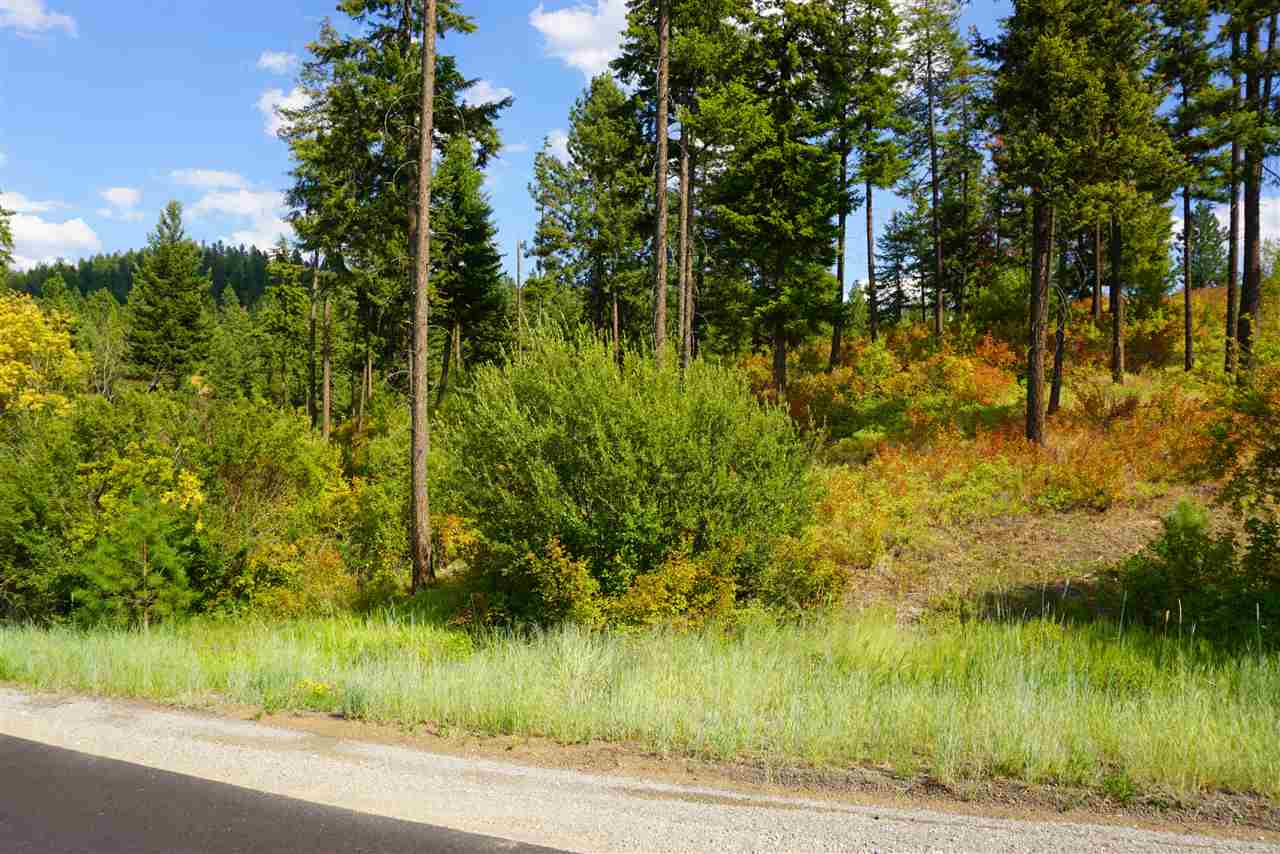 16300 North Ridgeview Lane Mead, WA 99021 - Photo 5 of 18