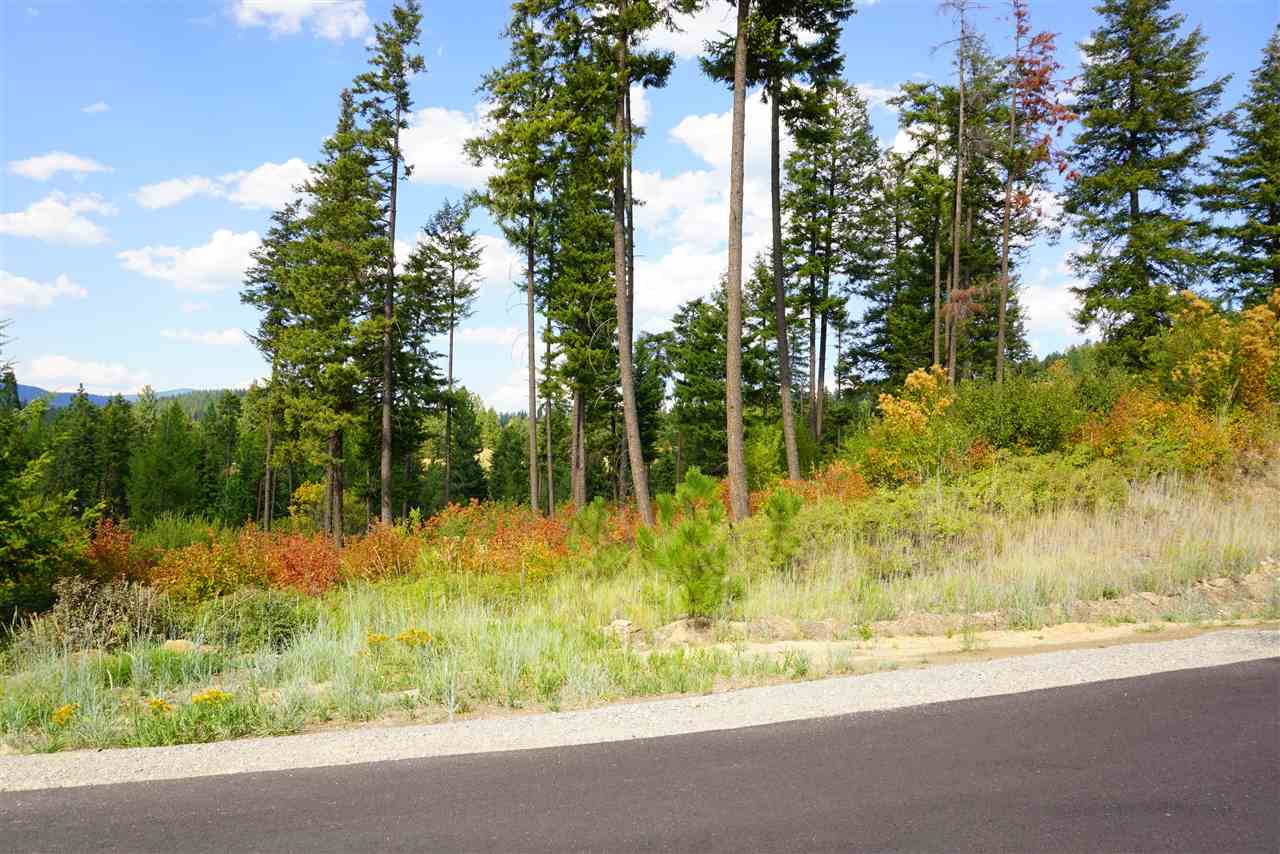 16300 North Ridgeview Lane Mead, WA 99021 - Photo 7 of 18