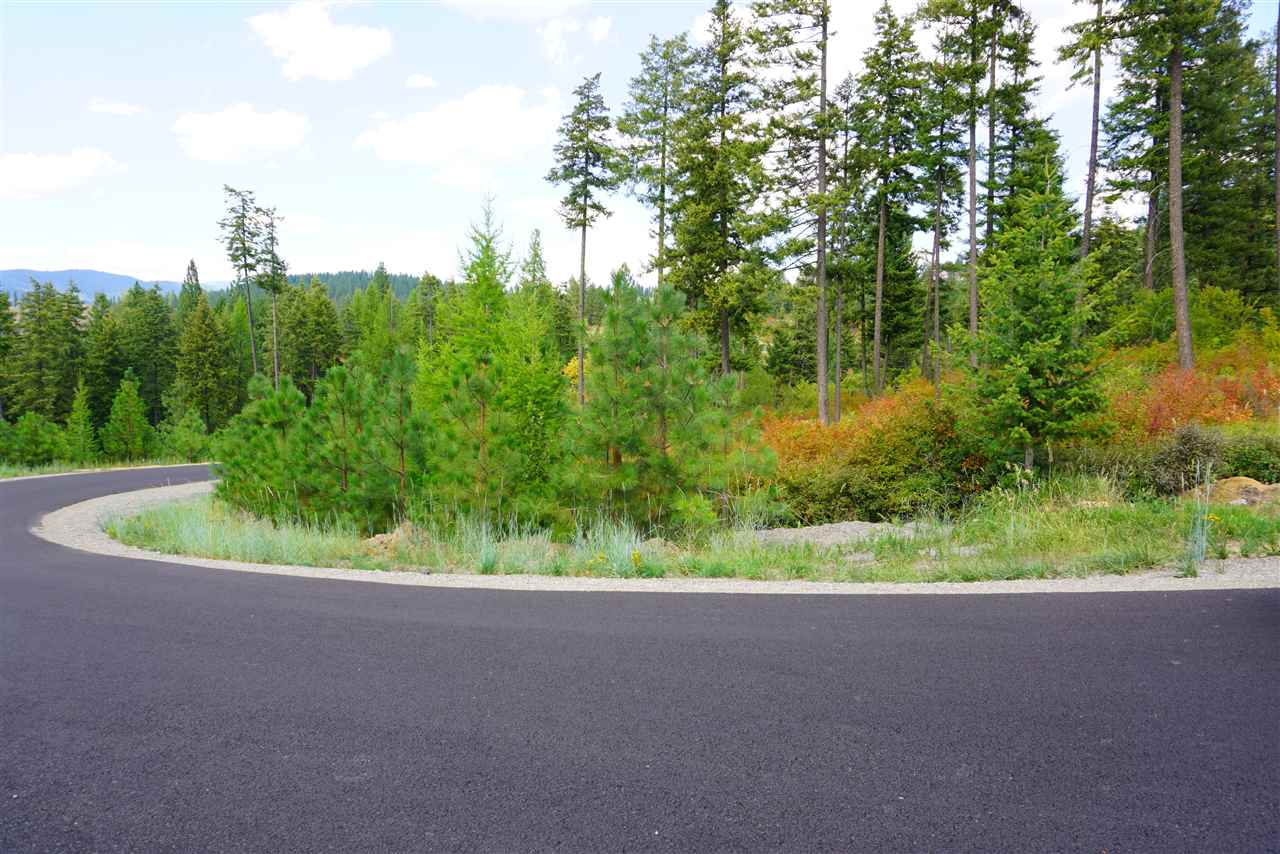 16300 North Ridgeview Lane Mead, WA 99021 - Photo 8 of 18