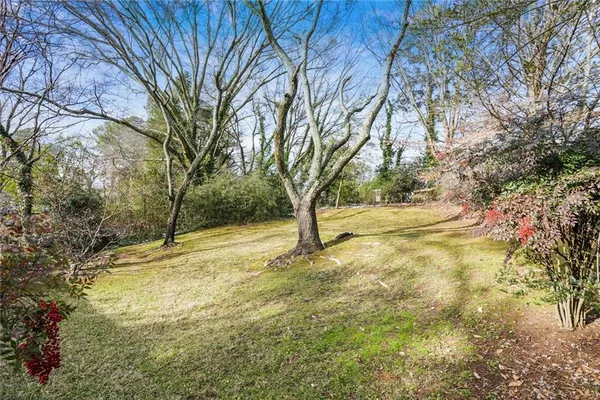 a view of yard with trees
