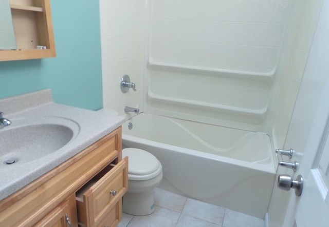 535 White Oak Road Bolingbrook, IL 60440 - Photo 8 of 13