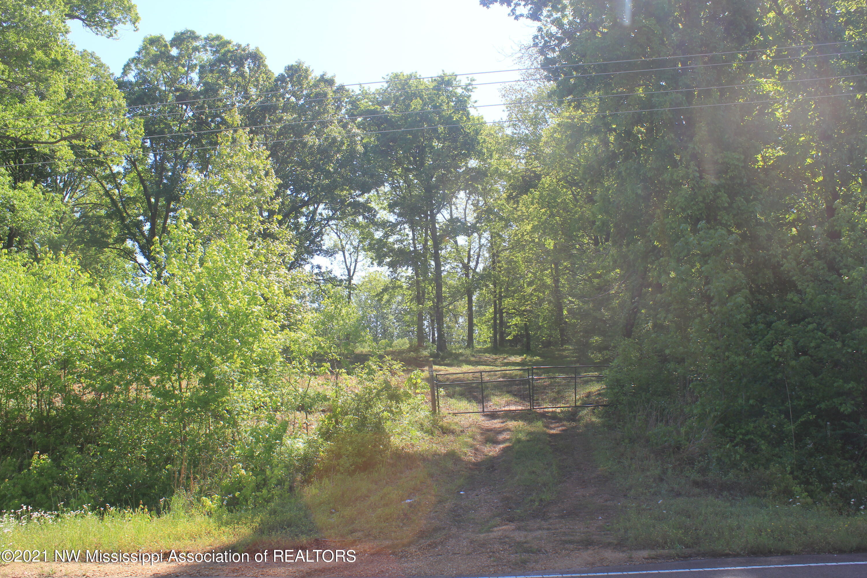 701 Taska Road Red Banks, MS 38661 - Photo 1 of 33 IMG_6335