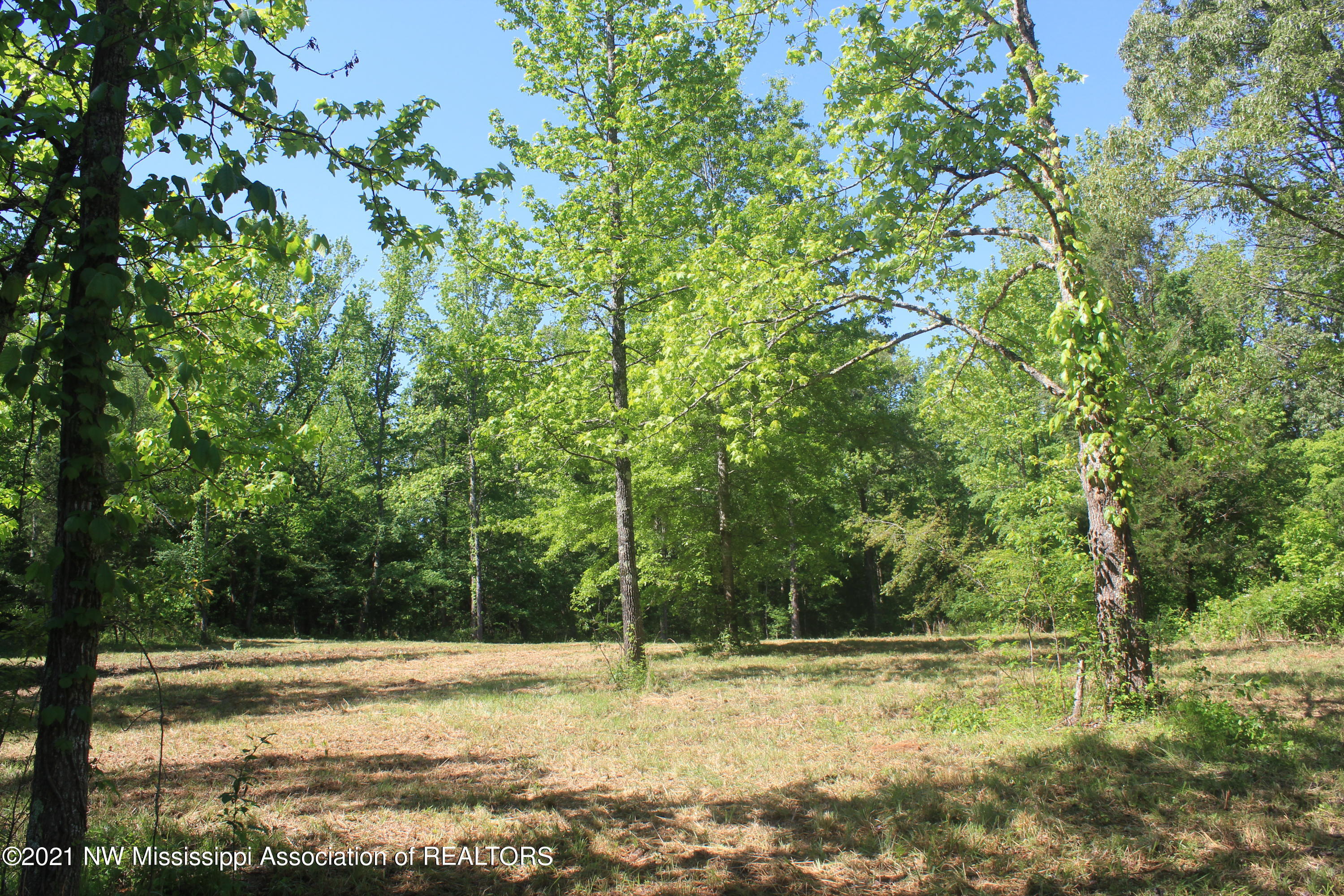 701 Taska Road Red Banks, MS 38661 - Photo 26 of 33 IMG_6360