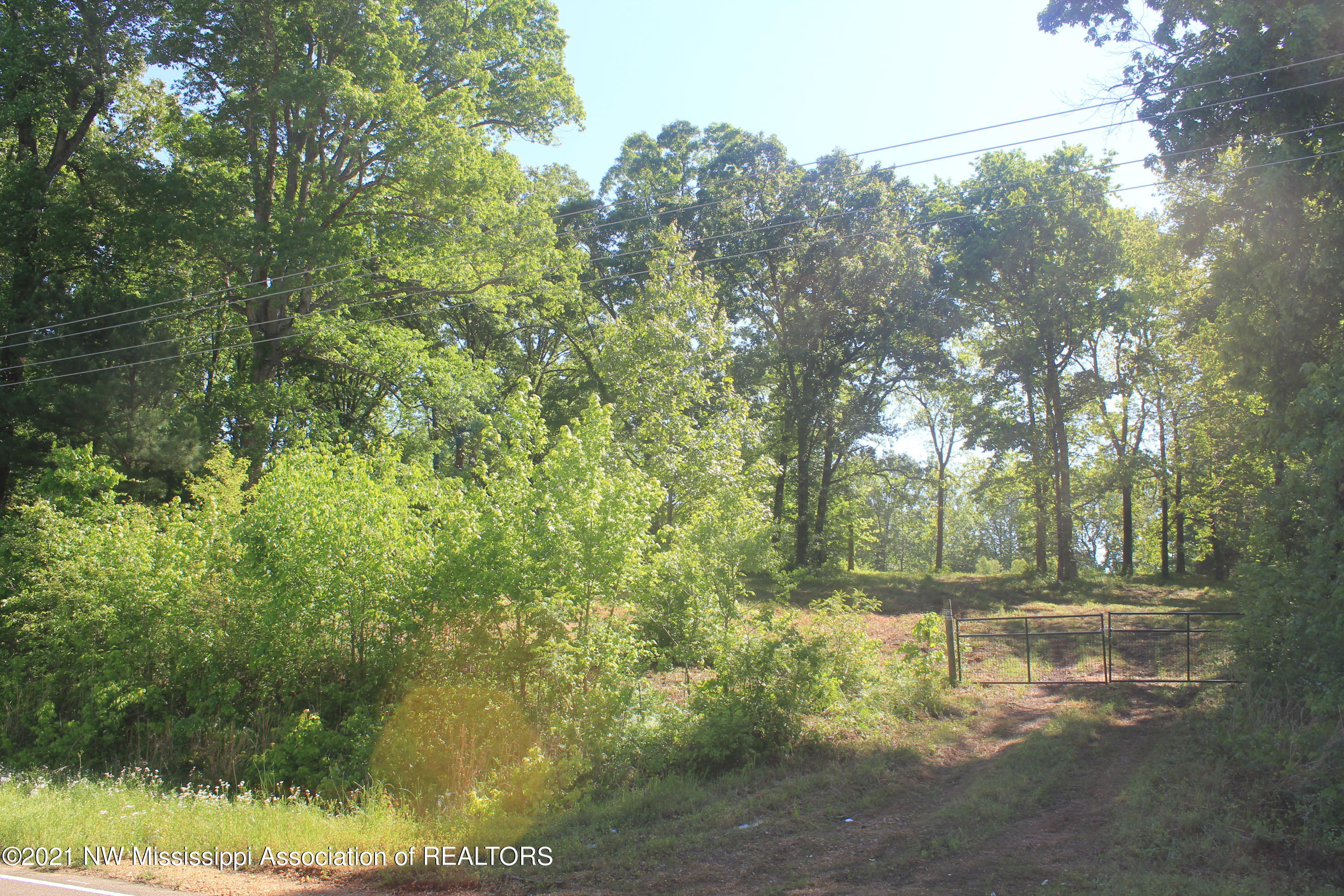 701 Taska Road Red Banks, MS 38661 - Photo 3 of 33 IMG_6337