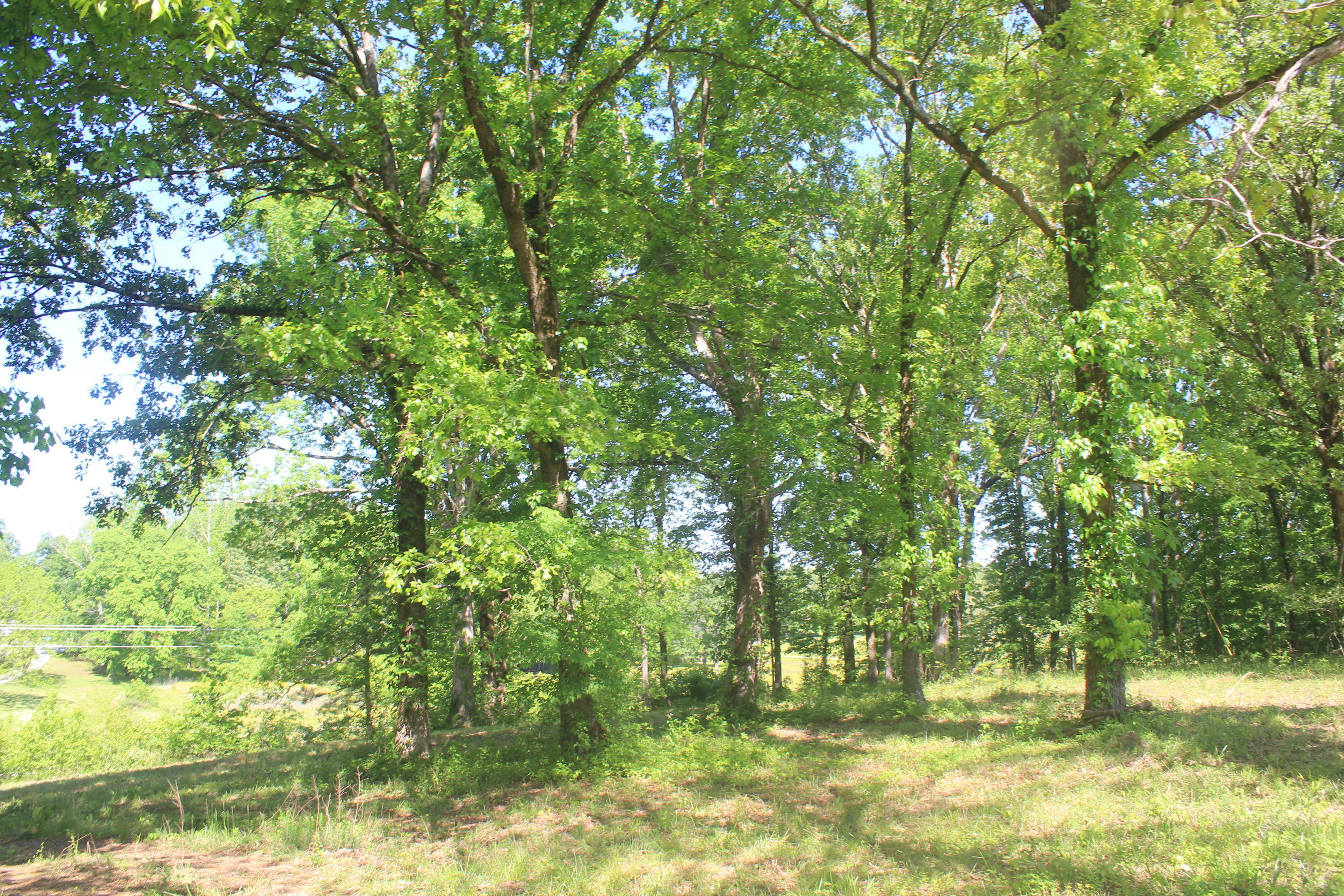 701 Taska Road Red Banks, MS 38661 - Photo 8 of 33 IMG_6342