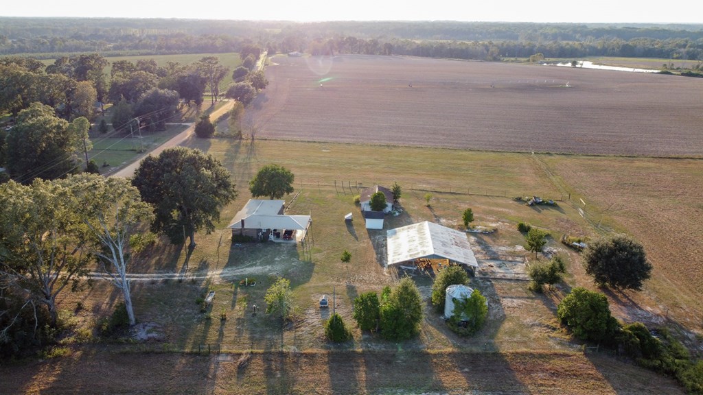 1178 Hornsby Road Samson, AL 36477 - Photo 29 of 29