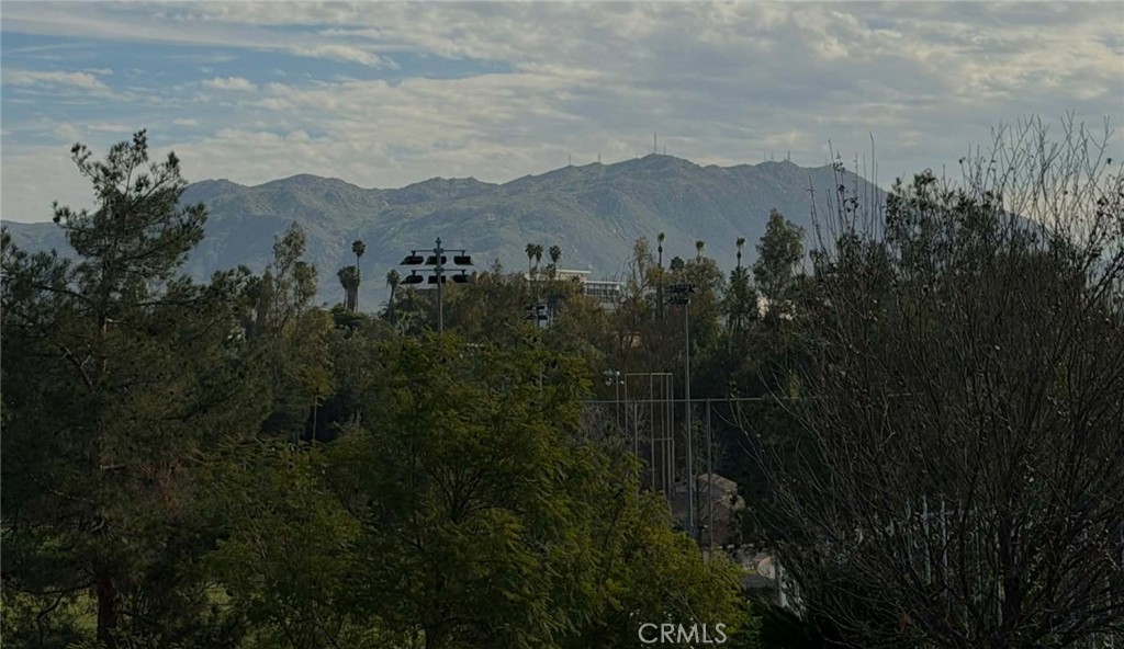 3985 Rice Road Riverside, CA 92506 - Photo 44 of 45 View #4 - Box Springs mountain near UCR where wild burros roam.