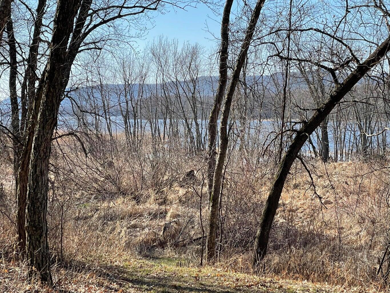 0 Birch Road Caledonia, WI 54661 - Photo 16 of 27 20210330195313087991000000-o
