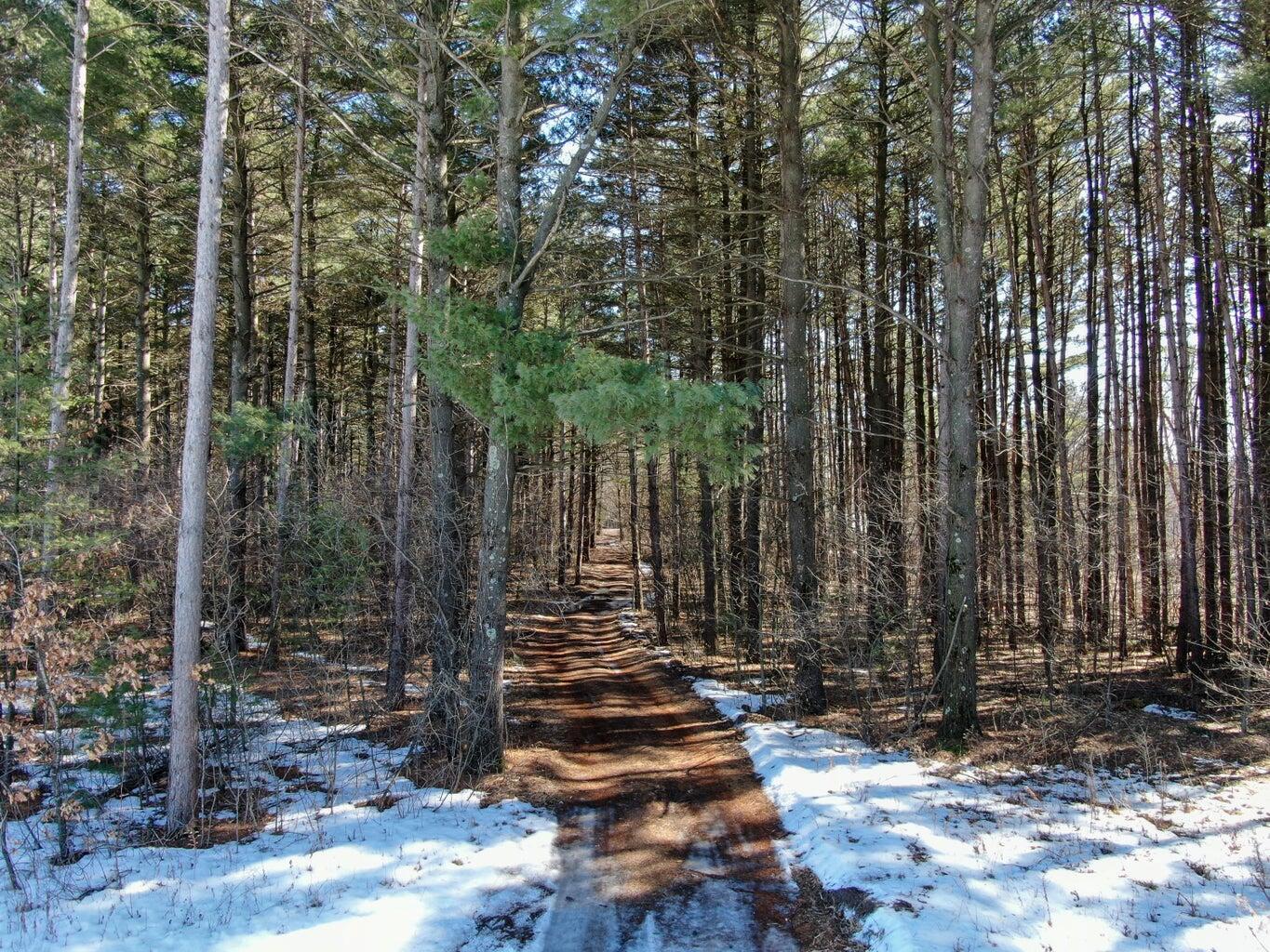 0 Birch Road Caledonia, WI 54661 - Photo 17 of 27 20210330195210431705000000-o