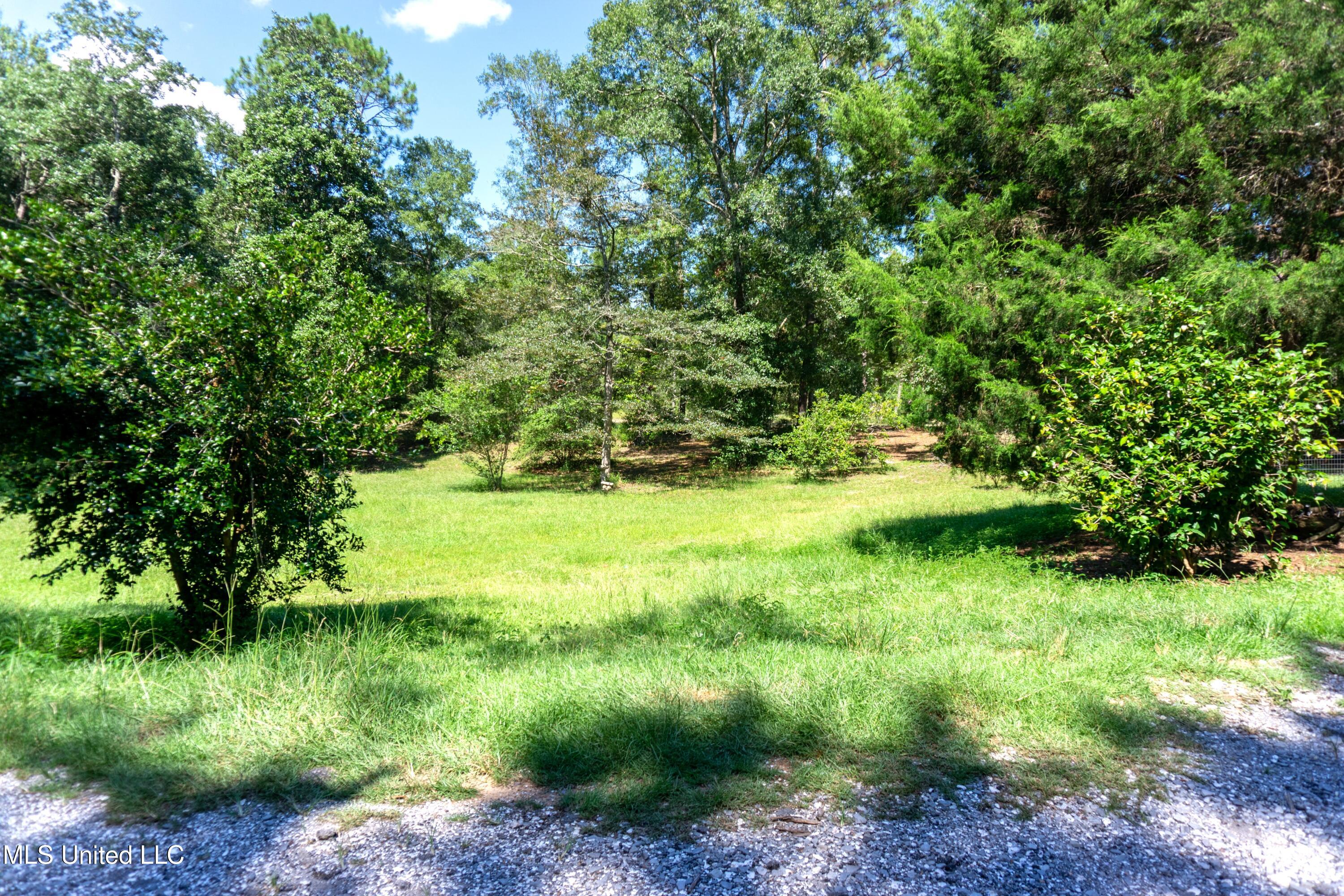 17220 Old Kelly Road Vancleave, MS 39565 - Photo 13 of 19 Front yard View