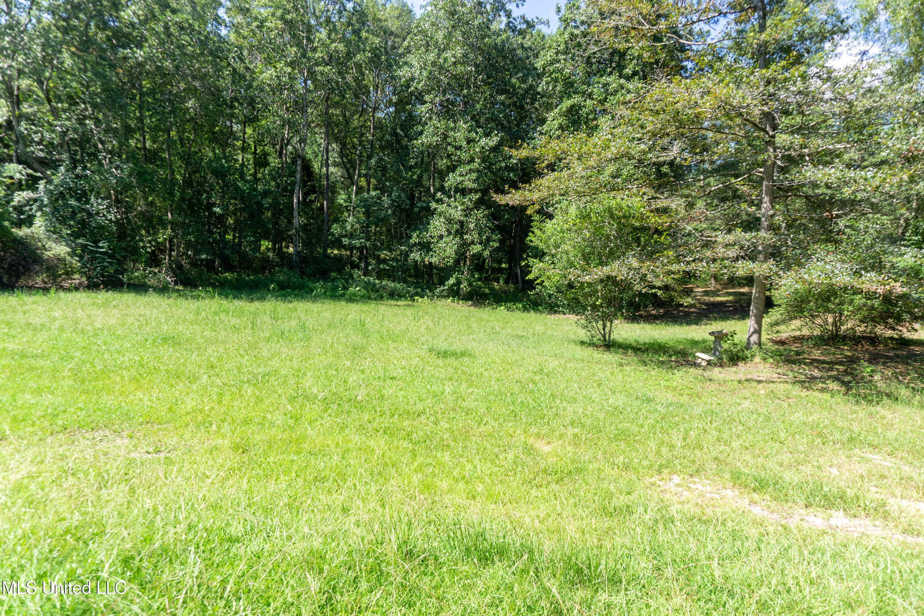 17220 Old Kelly Road Vancleave, MS 39565 - Photo 18 of 19 Front yard 2