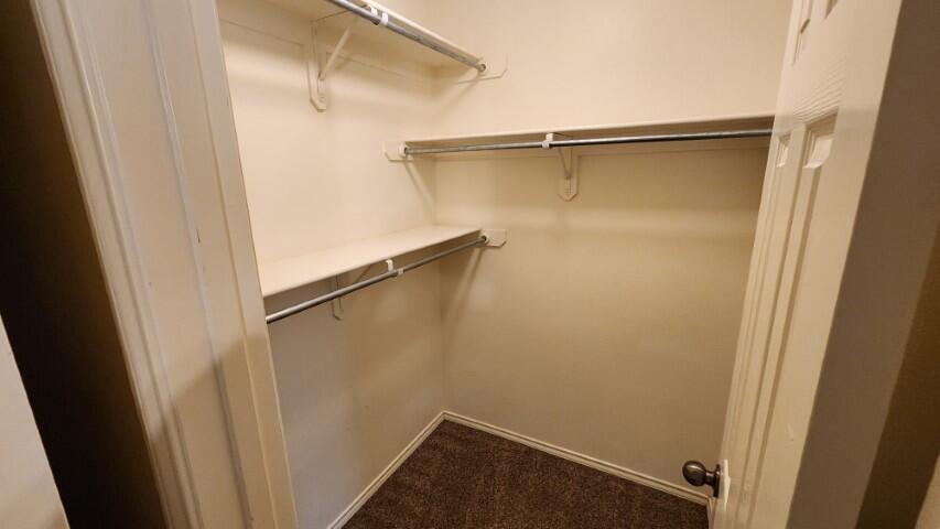 6535 93rd Street Lubbock, TX 79424 - Photo 11 of 13 a view of closet