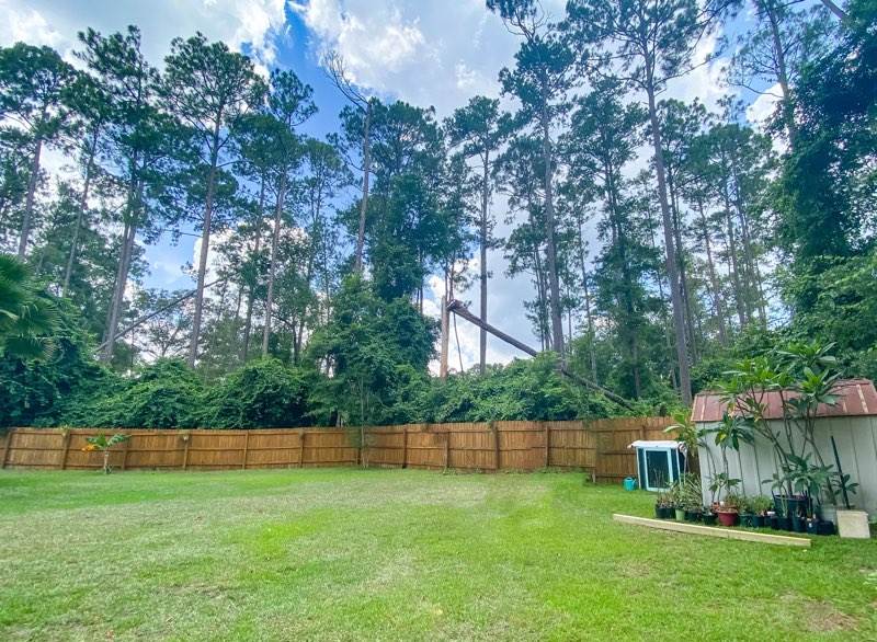 7425 Laurel Ridge Lane Tallahassee, FL 32312 - Photo 6 of 32