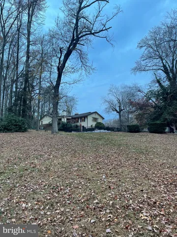 a view of backyard space with trees