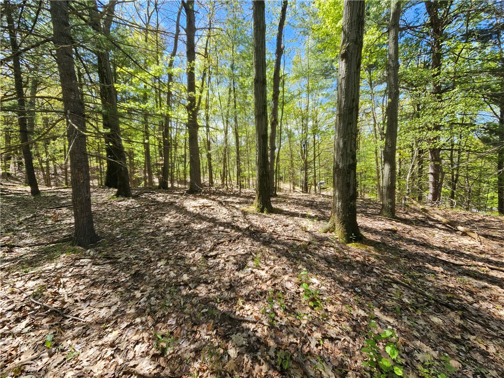613 East Lake Road Penn Yan, NY 14527 - Photo 27 of 35