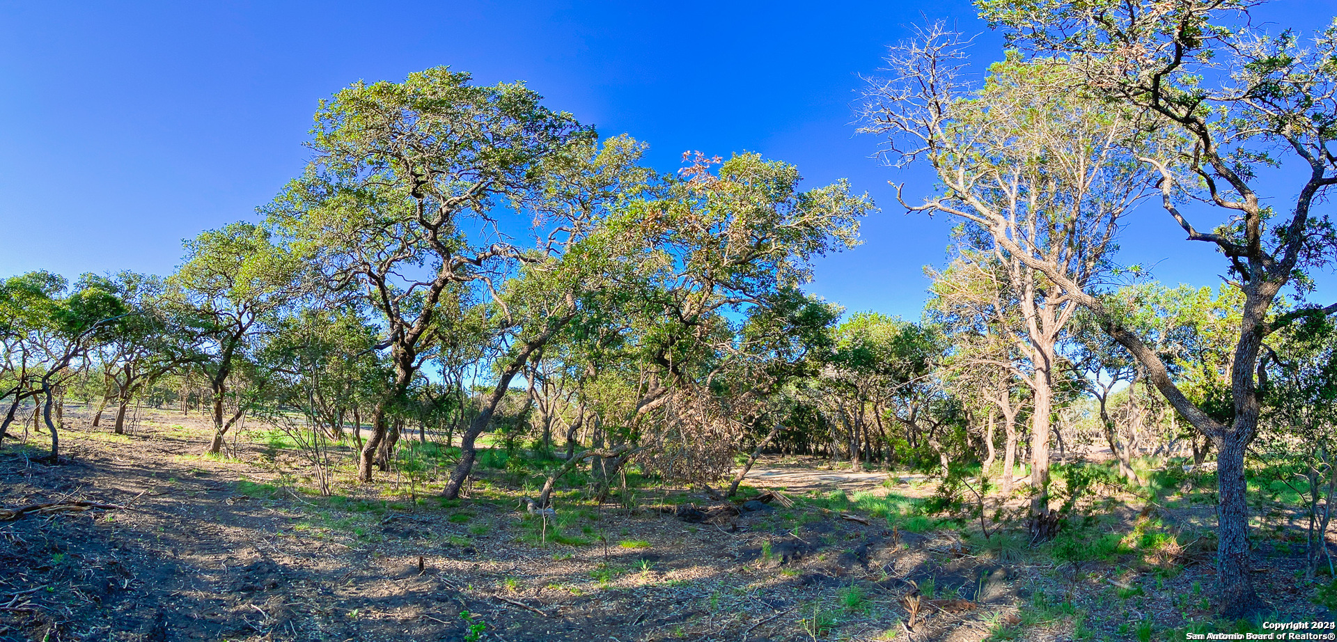 Lot 87 Creekside At Camp Verde Center Point, TX 78010 - Photo 22 of 34