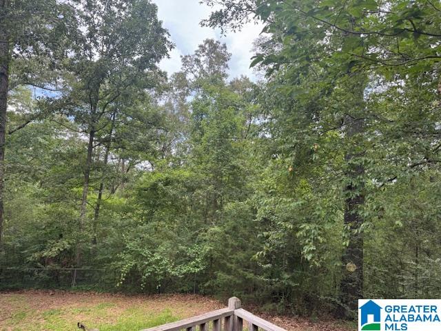 4379 Wellington Road Jacksonville, AL 36265 - Photo 5 of 98 Gallery Image 5
