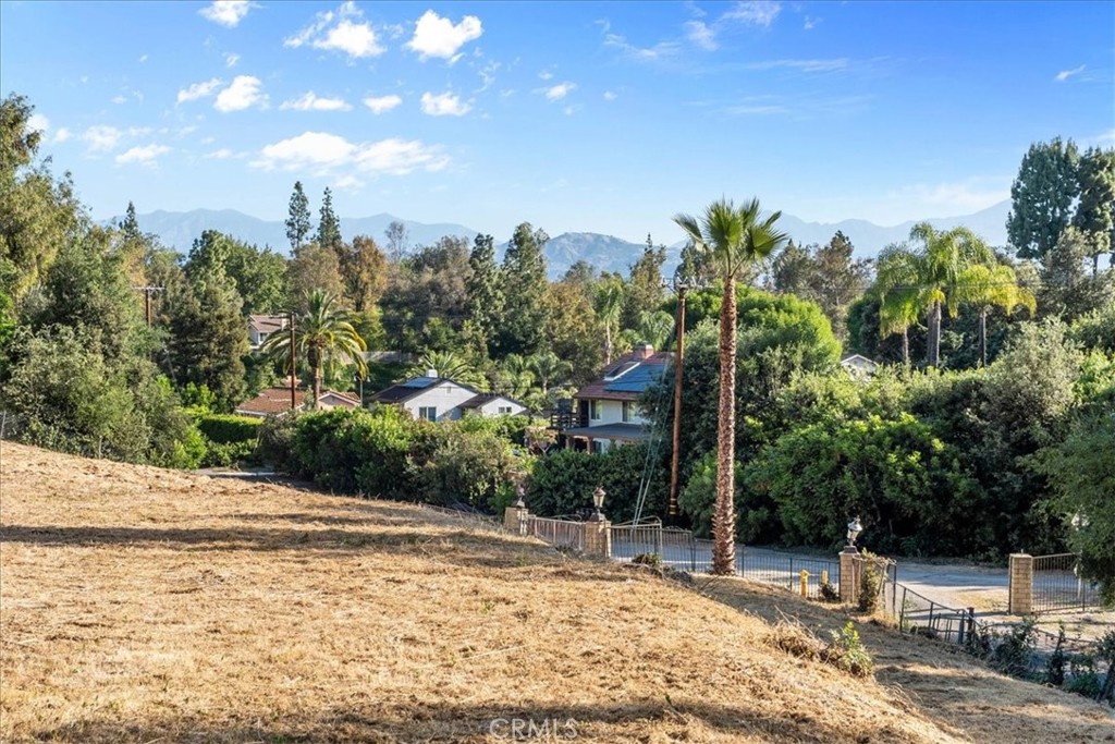 21544 Covina Hills Road Covina, CA 91724 - Photo 7 of 10 a view of a street with trees and bushes