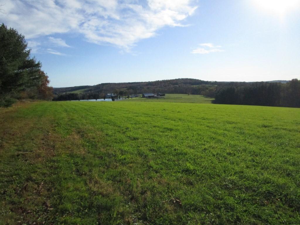 0 Martin Road Greene, NY 13778 - Photo 1 of 6 Gallery Image 1