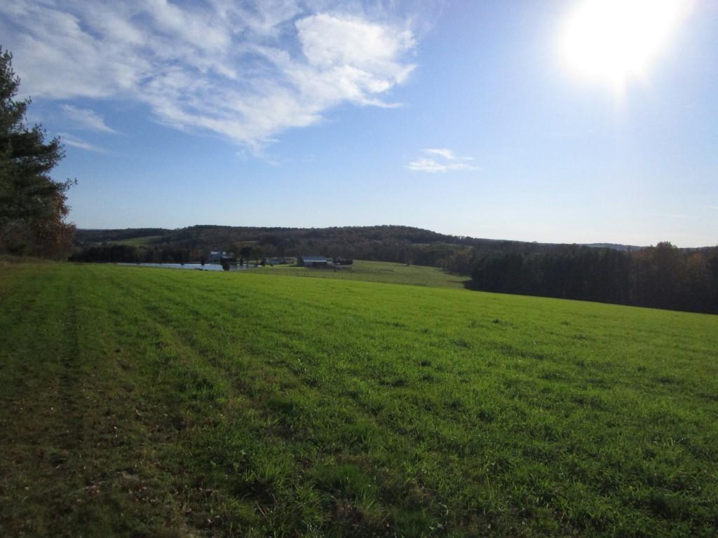 0 Martin Road Greene, NY 13778 - Photo 5 of 6 Gallery Image 5